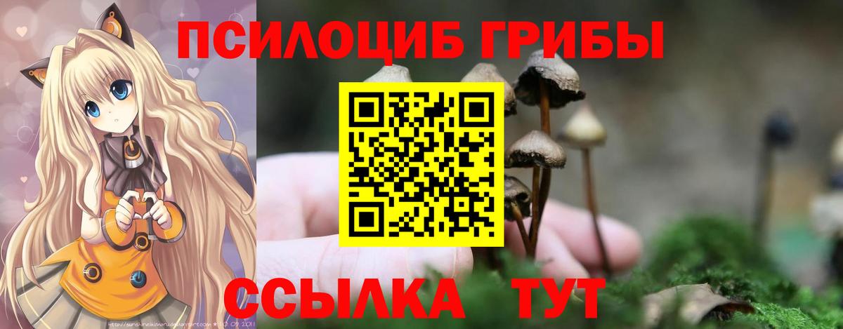 Дальнегорск  Галлюциногенные грибы Psilocybine cubensis  что такое наркотик  Вход с VPN 